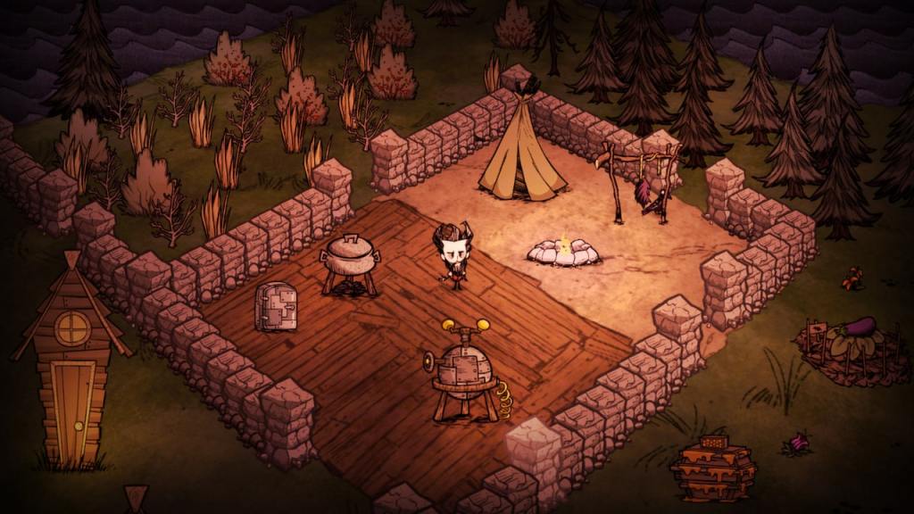 don't starve coop